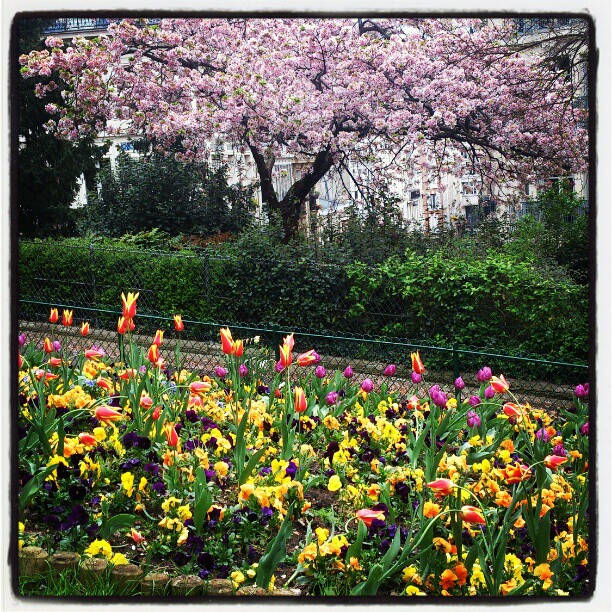 Весна в Париже