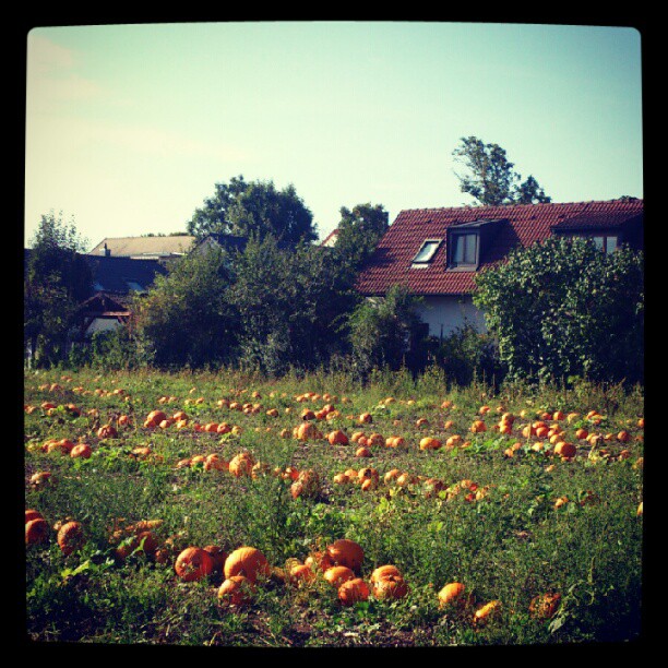 Скоро Хэллоуин