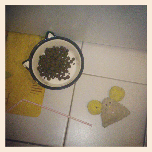 Кошачие радости