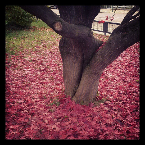 Неделю спустя