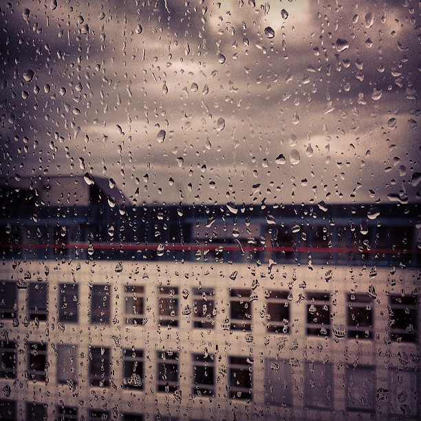 Как прекрасен дождь после недели невыносимой жары...