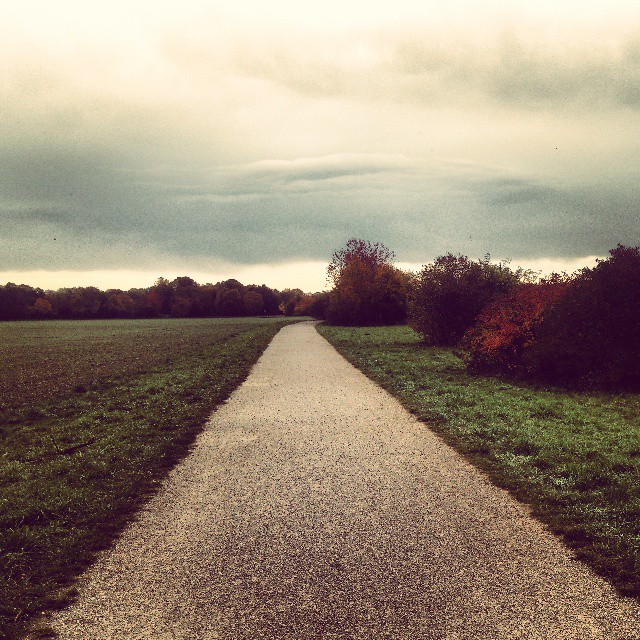 Mein weg/My road