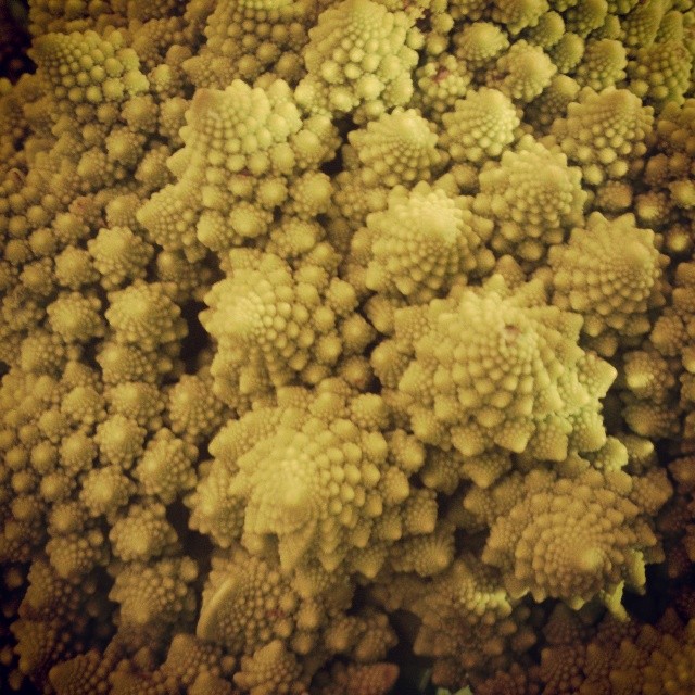 Это съедобно, но я не рискнул.