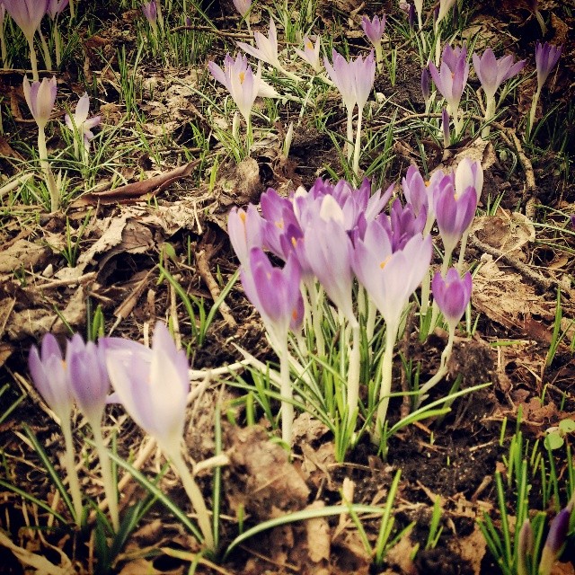 Der Frühling ist gekommen