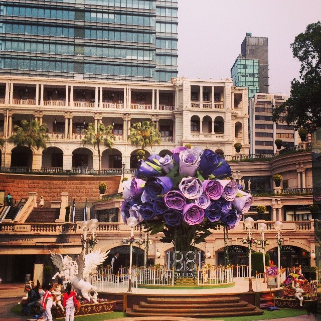 Hong Kong is awesome, but it's time to go home.