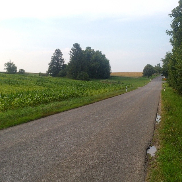 Лёгкая вечерняя покатушка по трассе триатлона