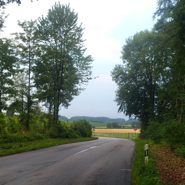 Лёгкая вечерняя покатушка по трассе триатлона 2