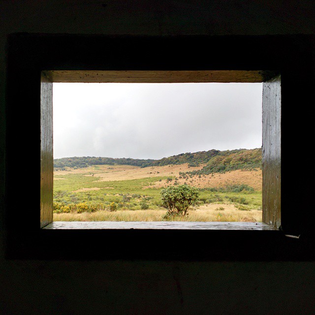 Натюрморт «Плато Хортона, вид из туалета». Там очень красиво (в парке, не в туалете), как и во всех туристических местах Шри-Ланки, но и настолько же дорого. С иностранцев берут по ≈20€, местные проходят бесплатно.