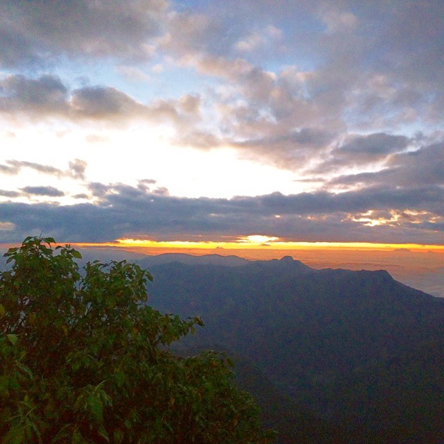 Встретили рассвет на пике Адама (2247м). Туда ведёт подъём в ≈700 метров, несколько тысяч ступенек. Вышли из гестхауза в 2 часа ночи, на вершине были в 5:40, назад вернулись в 8 утра. Уставшие, но довольные едем наконец на пляж.