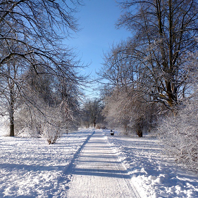 Morning run in winter is a perfect start of day.