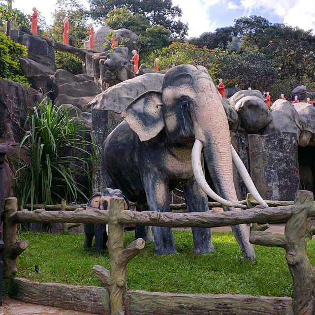 Каменные слоники и идущие Будды у пещерного храма Будды в Дамбуле.