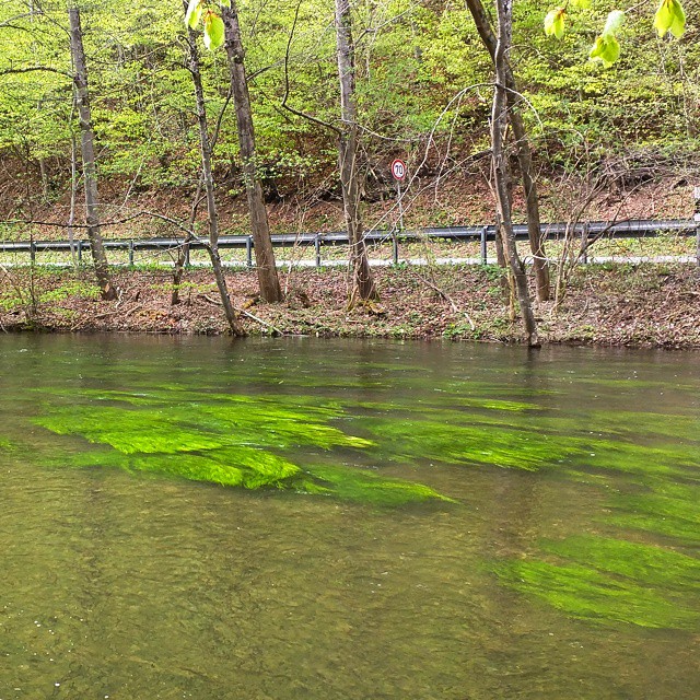Cycling season opening