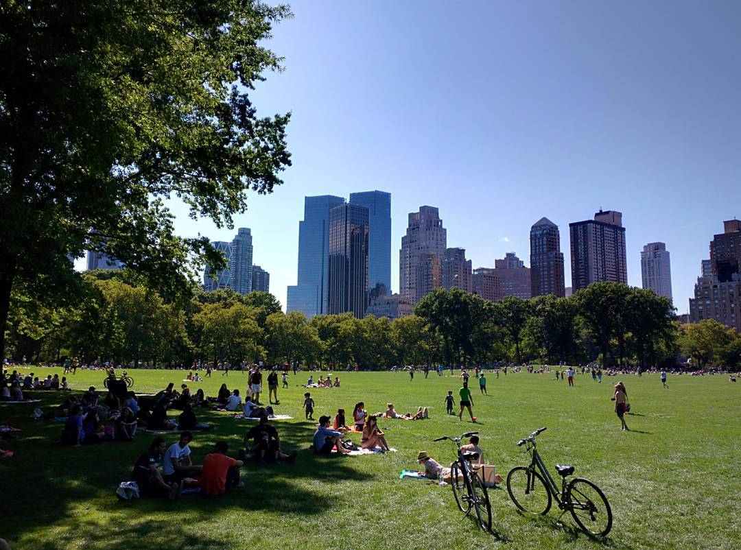 Picnicking in Central Park