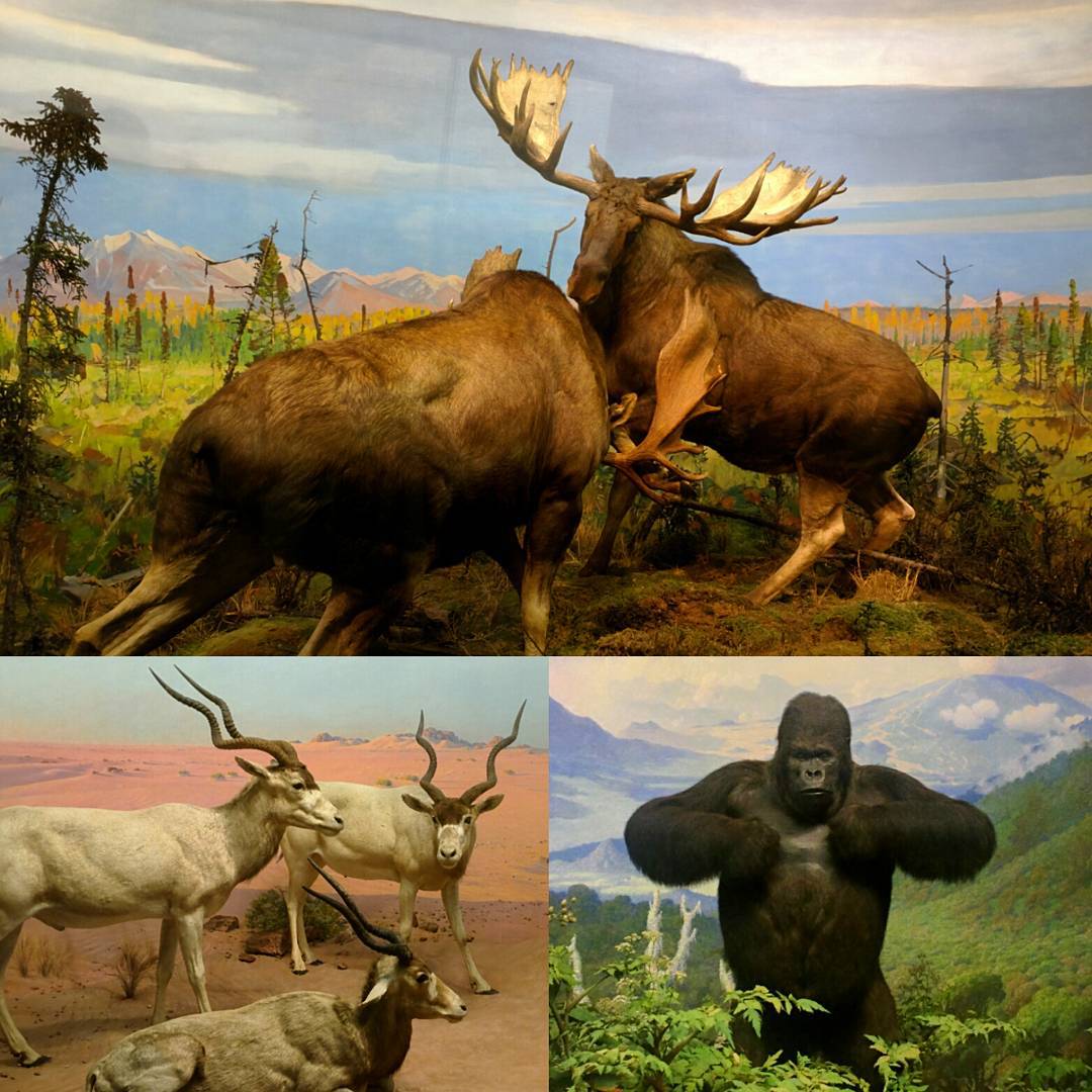 Natural History Museum is definitely worth visiting.