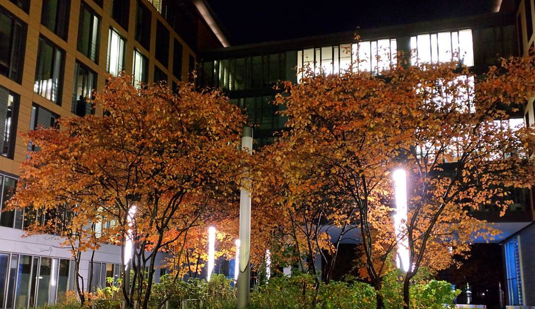 The Fall and the evening.