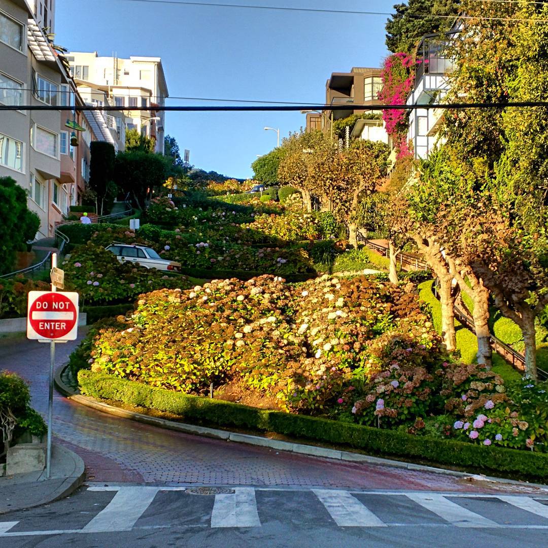 The most famous street of San Francisco early in the morning without tourists. Well, except myself.