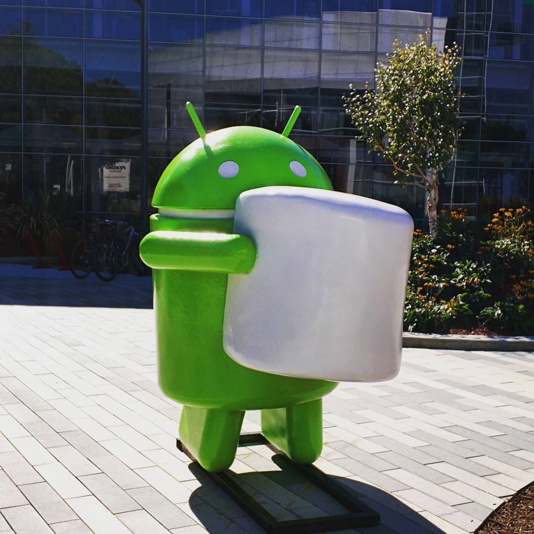 Had a walk around Google campus with a googler. #marshmallow