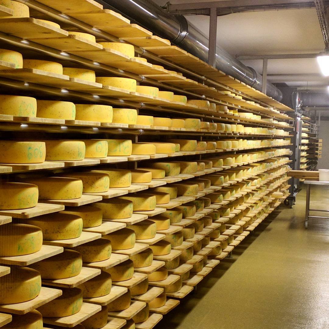 Shelves full of tasty cheese.