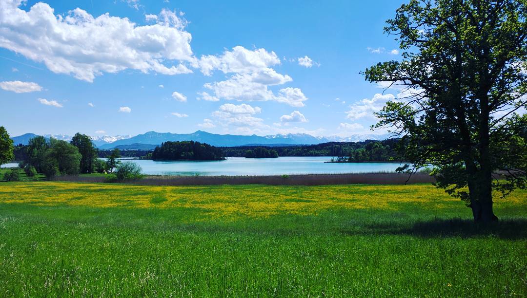 Just a perfect Sunday