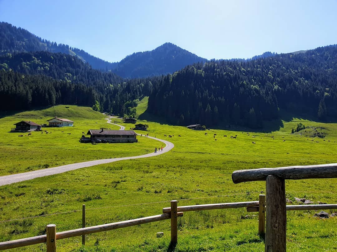 We planned to go to another place, but didn't regret ending up here